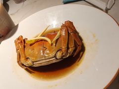 -寻宝记绍兴菜(状元店)