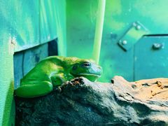 -可伦宾野生动物保护区