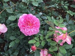 -人民公园(罗湖区)