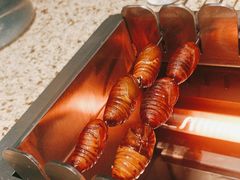 烤蚕蛹-丰茂烤串(钦州北路店)