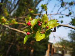 -大兴滨河森林公园