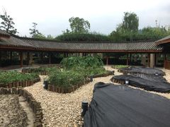-青城山六善酒店·紫氣園中餐厅