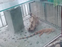 -上海大自然野生昆虫馆(东方明珠·爬宠昆虫探索中心)