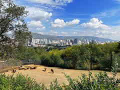 -青藏高原野生动物园