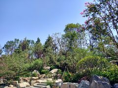 -唐御宴•御宴宫•唐代菜点(芙蓉西路店)