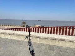 -上海滨江森林公园
