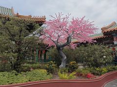 -珠海圆明新园