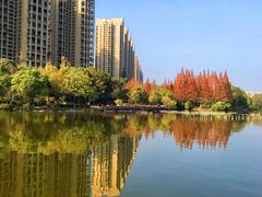 -成都南湖公园