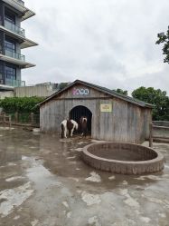 -造物庄园 萌宠纪(苏州湾歌林公园店)