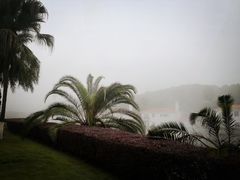 -圣爵菲斯大酒店(长沙世界之窗店)