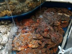 -海景壹号大酒店(滨湖店)