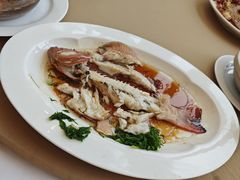 -圆苑(金茂店)
