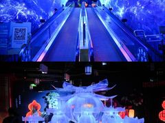 -正佳雨林生态植物园