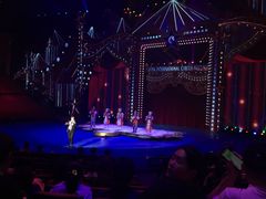 -珠海横琴长隆《卡卡虎奇遇记》