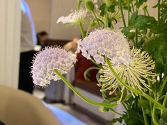 -晶雅花园西餐厅(南京首店)