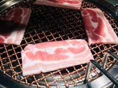 -九田家黑牛烤肉料理(新辰里亚运村店)