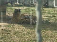 -祥源·阜阳生态乐园