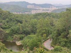 -火炉山森林公园