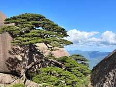 -黄山风景区
