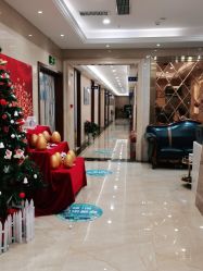 -碧莲盛·不剃发植发