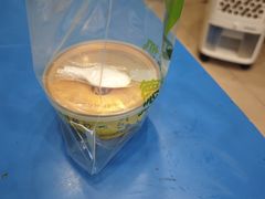 -德禄酸奶(莫家街店)