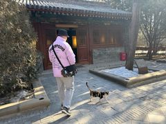 -窦大夫祠