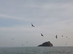 -棒棰岛宾馆景区