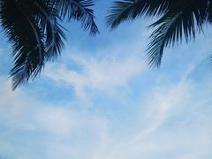 -三亚太阳湾柏悦酒店