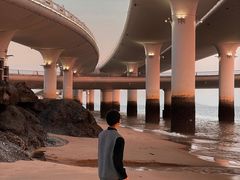 -演武大桥观景平台