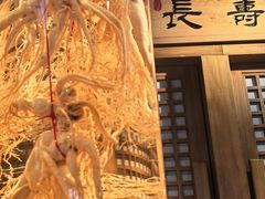 -长寿参鸡汤(朝韩风情街店)