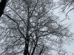 -灵顺寺