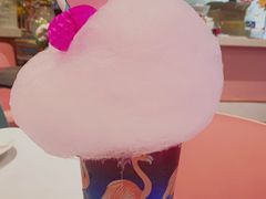 一半海水一半火焰-随心小姐