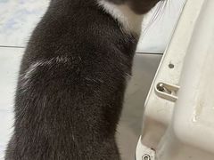 -久久宠物(河东万达店)