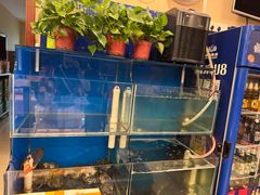 -秦记香辣蟹(松榆里店)