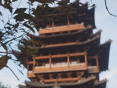 -杭州半山国家森林公园