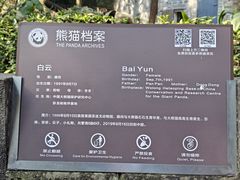 -都江堰中华大熊猫苑