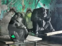 -大连森林动物园