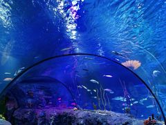 -沈阳海洋探索中心