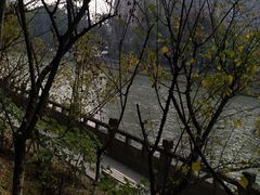 -望江楼公园