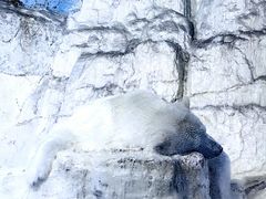 -大连老虎滩海洋公园