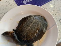 麻辣小小甲鱼-蚝英雄·鲜蚝自助专门店(洋桥店)