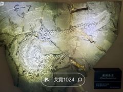 -安徽省地质博物馆
