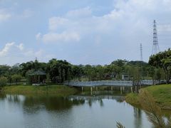 -王借岗森林公园