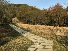 -牛首山文化旅游区