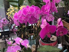 -ABCD咖啡屋(妇幼店)