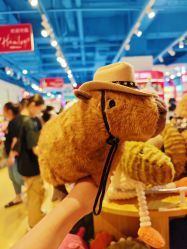-Hamleys哈姆雷斯(东方福来德店)