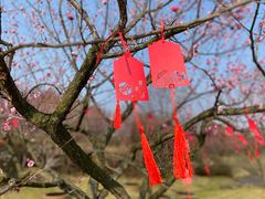 -花开海上生态园