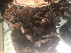-番食园鲜食火锅(高新店)