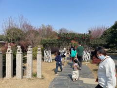 -武汉紫薇都市田园