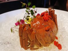 -蟹榭·本帮江浙菜·蟹宴(五角场合生汇商场店)